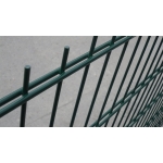 Panele 2D 6/5/6 Malowane Proszkowo i OCYNK