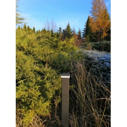 Lampa LED ogrodowa miniSIMPIO H=500 mm 60x40 mm