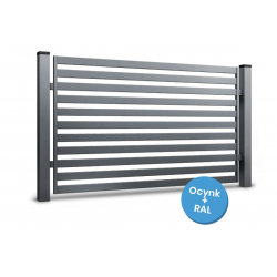 raro system rabski raro system rabski